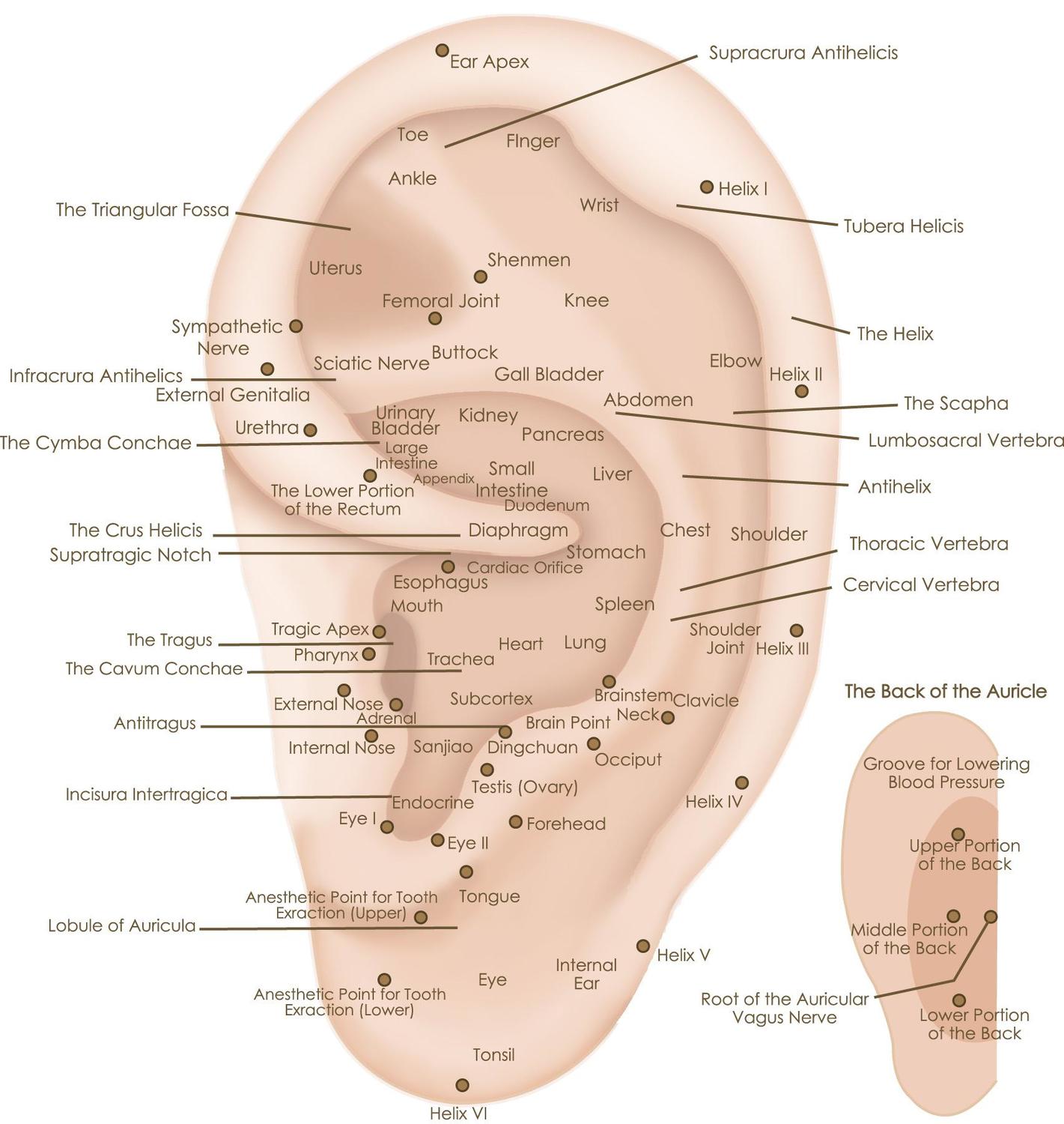 Иглотерапия